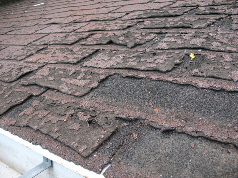 Damaged Shingles