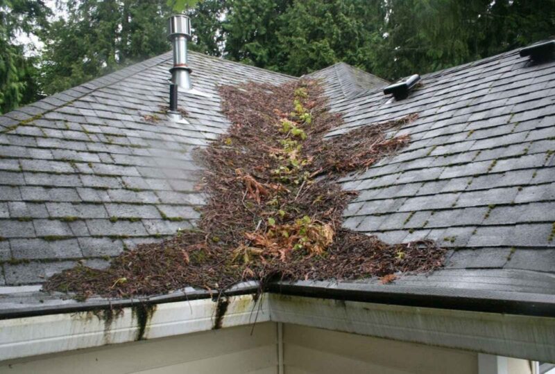 Roofing Maintenance for Spring